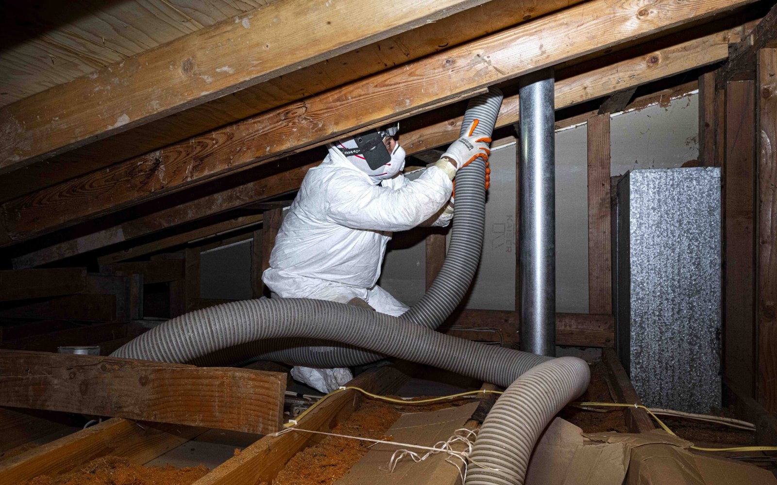 Rodent Control in Dallas, TX